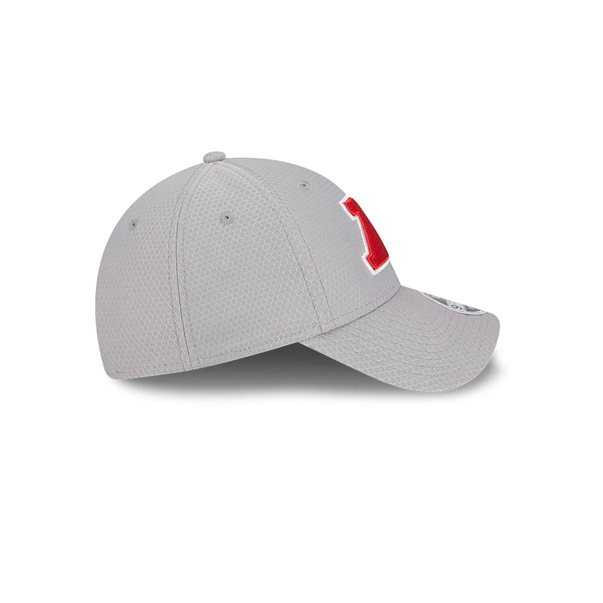 Gorra NFL Pro Bowl AFC Grey 9FORTY Stretch Snap